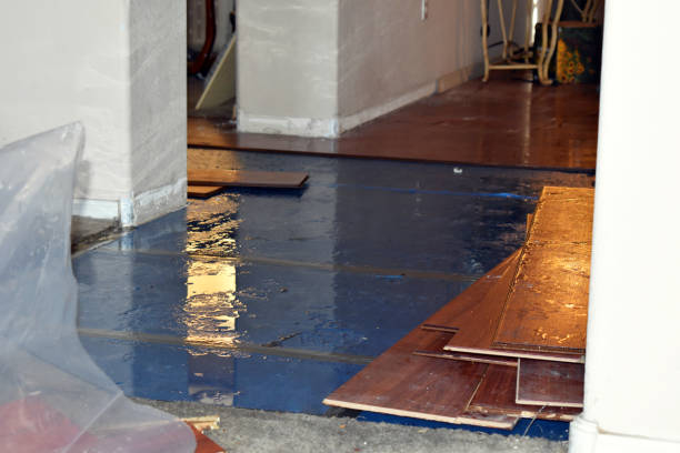 Professional Burst Pipe Cleanup technician working in Pemaquid, ME